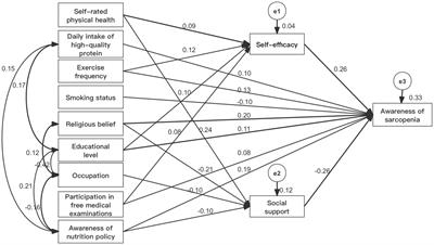 Path analysis of the awareness status and influencing factors of sarcopenia in older adults in the community: based on structural equation modeling